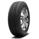 BFGoodrich (P225/60R17 98H BFG RADIAL T/A SPEC)
