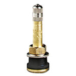 31 Inc (17-500T-10 INC 2 INCH STRAIGHT TR500 BRASS TRUCK VALVE)