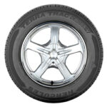 Hercules (245/50R20 102H HER TERRA TRAC CROSS-V) - Image 2