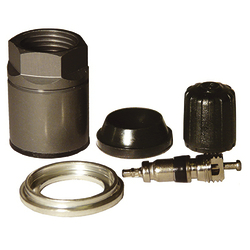 Dill (1030K DAC SIEMANS TPMS SERVICE/REPAIR KIT FOR AUDI AND VOLKSWAGEN)