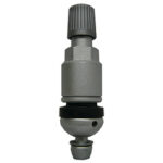 Dill (1092 DAC BALL SEAT VALVE STEM ASSEMBLY TPMS FOR BERU 43MM SILVER OR NO MARKING)