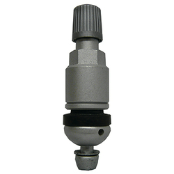 Dill (1092 DAC BALL SEAT VALVE STEM ASSEMBLY TPMS FOR BERU 43MM SILVER OR NO MARKING)