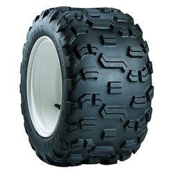 Carlisle (18X11.00-10/4 CAR FAST TRAX ATV/UTILITY)