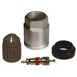 Dill (1060K DAC TPMS REBUILD/SERVICE KIT FOR EARLY FORD MAGNETIC SCHRADER SENSORS)