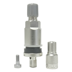 Dill (VS-241 DAC CLAMP-IN TPMS VALVE FOR 2017 FORD TRUCK & RAM 3500, INCLUDES USA DOUBLE SEAL CAP (6-PACK))