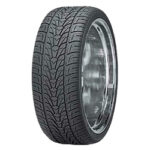 Nexen (295/30R22XL 103V NEX ROADIAN HP SUV) - Image 5
