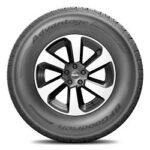 BFGoodrich (265/65R17 112T BFG ADVANTAGE CONTROL HT BW)
