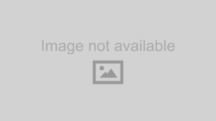 Pirelli (295/35ZR20XL 105Y PIR P-ZERO (PZ4S)(NF0)ELT)