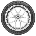 General (245/45ZR19XL 102W GEN G-MAX AS-07) - Image 3