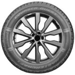 Mastercraft (90000079007 275/60R20 115H MSC COURSER QUEST PLUS) - Image 2