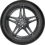 Ironman (255/45ZR19XL 104W IRON iMOVE SPORT G2 BW) - Image 2