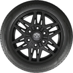 Ironman (225/55R19 99V IRON ALL COUNTRY HT 4S BW) - Image 2